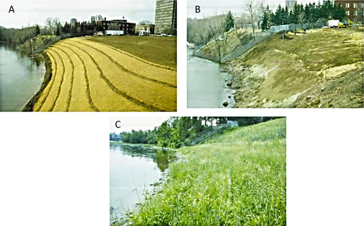 Images A, B, and C: see caption.