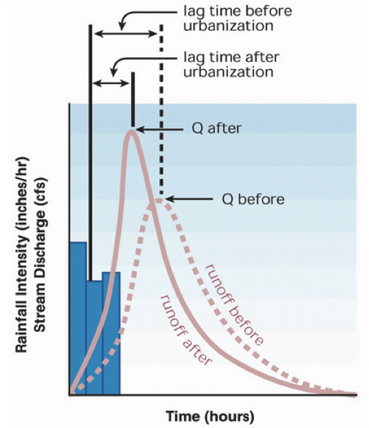 the image is described in the caption.