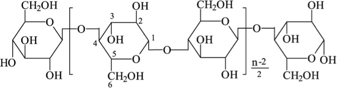 Polysaccharide structure (cellulose) with repeating glucose units