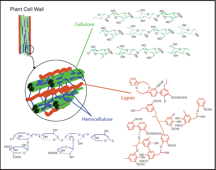 Complex chemical structures of hemicellulose, cellulose and lignin. More details in text description below.