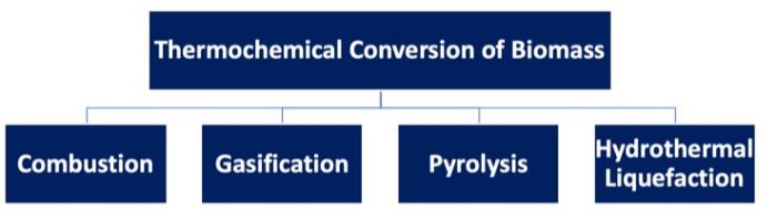 Thermal conversion of biomass diagram of combustion, gasification, pyrolysis or hydrothermal liquefaction.