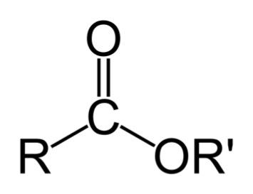Y shape with C at the center. One branch has a double bond O, one has a R and the other has an OR'