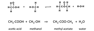 Reaction of acetic acid with methanol. More details in text description below.