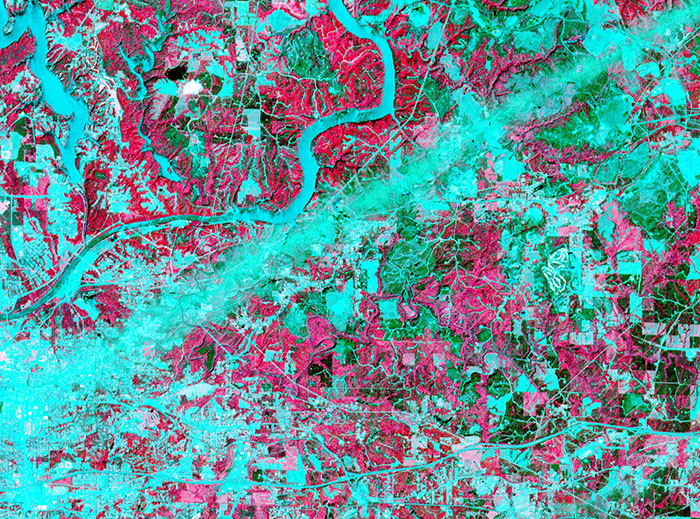 Decorative heat signature map