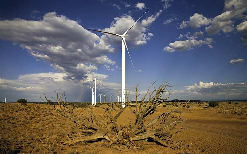 A desert landscape with wind turbines in the background and a large dry branch in the foreground under a sky with scattered clouds.