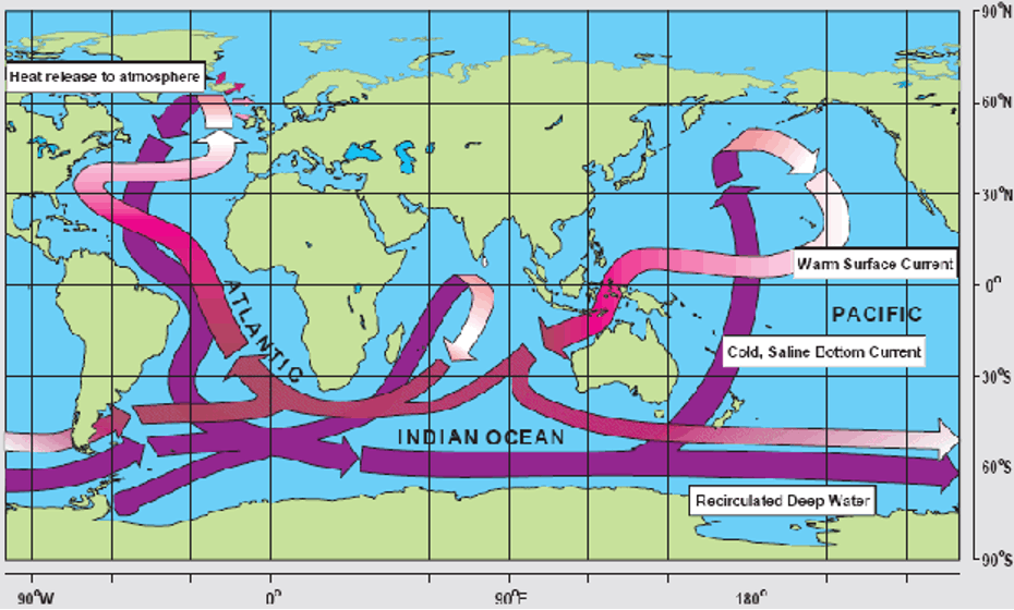 The Ocean's Meridional Overturning Circulation