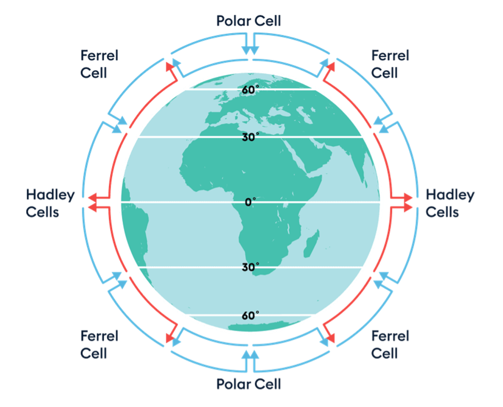 Cross section of actual cells observed in the Earth’s atmosphere.
