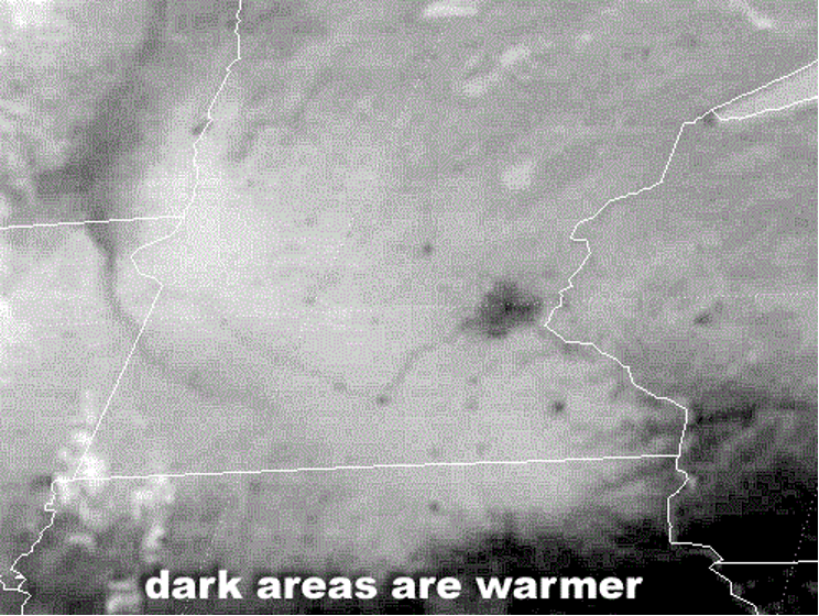 Grayscale thermal map with white boundary lines; darker areas indicate warmer temperatures.